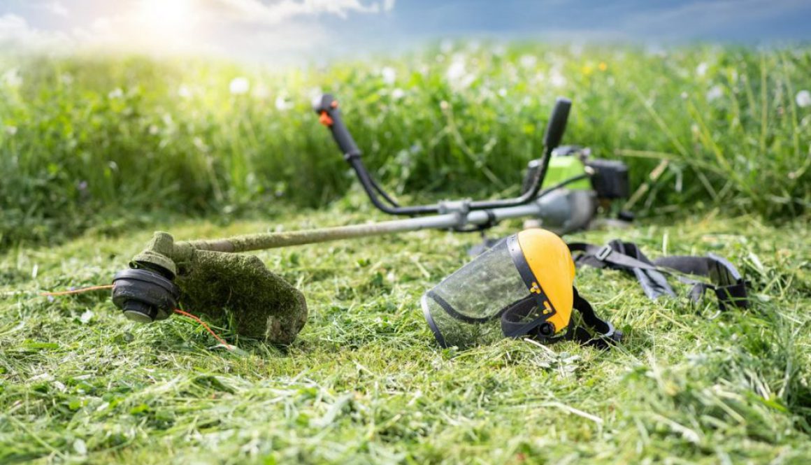 203434403_4305400372855090_728660899202814392_n