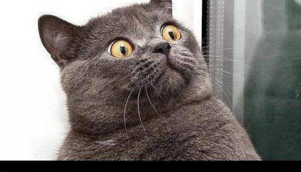 a7db657360cf001910aeda65bb848b83