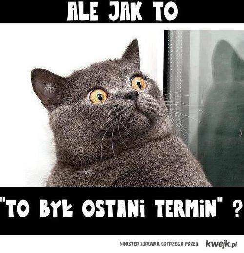 a7db657360cf001910aeda65bb848b83